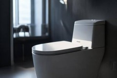 vivi智能马桶统一客服专线教大家$2023年智能马桶十大品牌排行榜